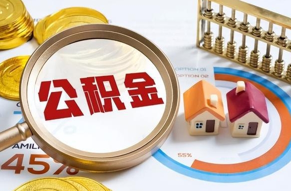 嘉善失业了可以提取全部公积金吗（失业了可以提取住房公积金吗）